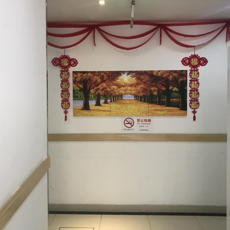 Huifeng Inn Shanghái Exterior foto